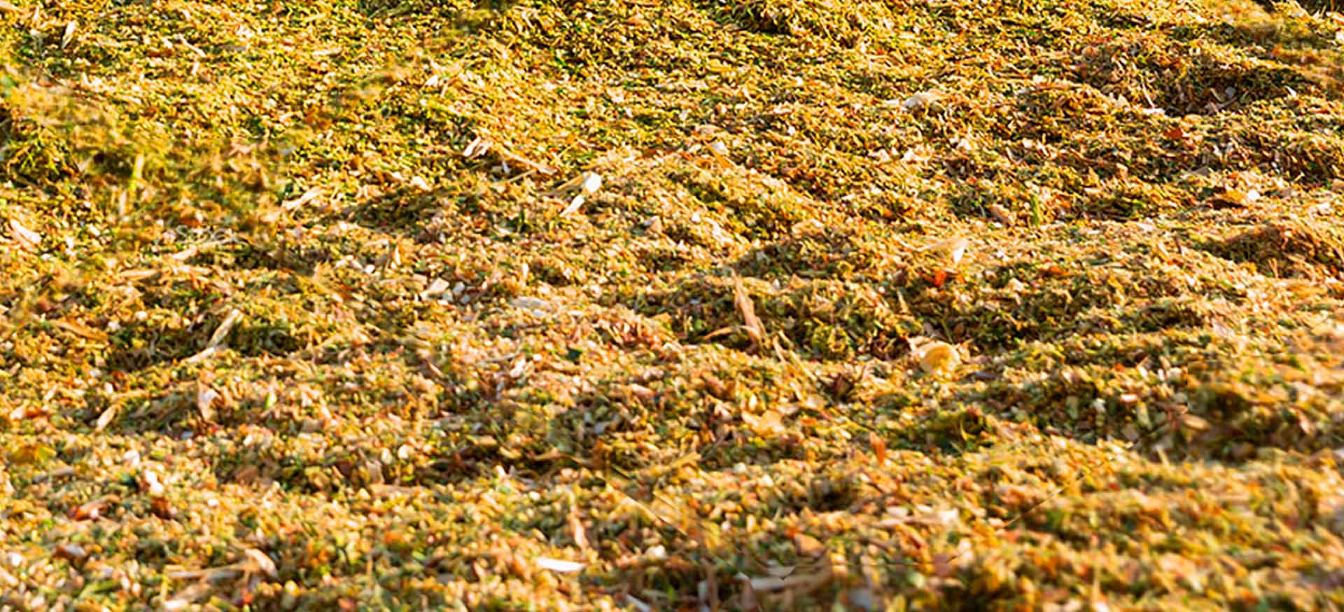 饲料粉碎与配料过程监测