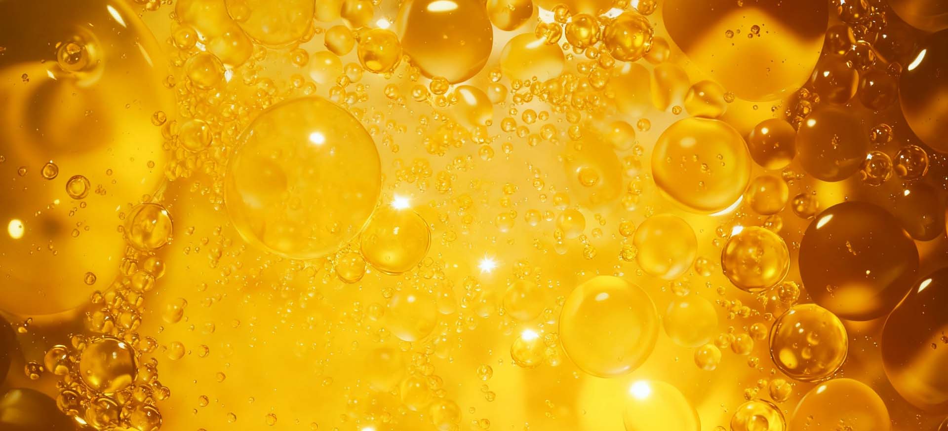 油脂浸出环节监测